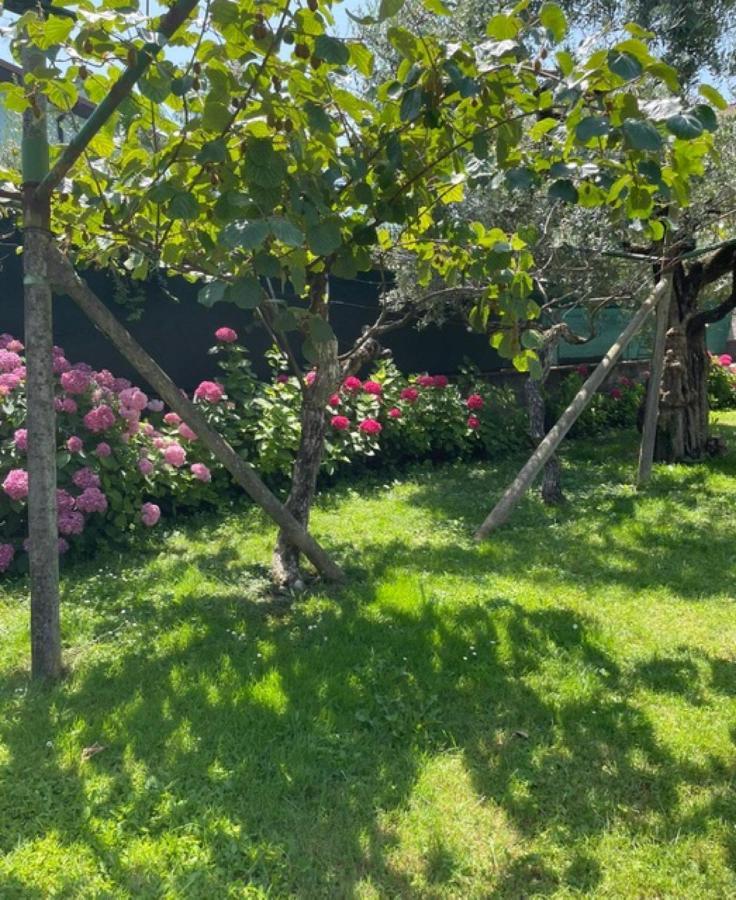 Appartamento House 1